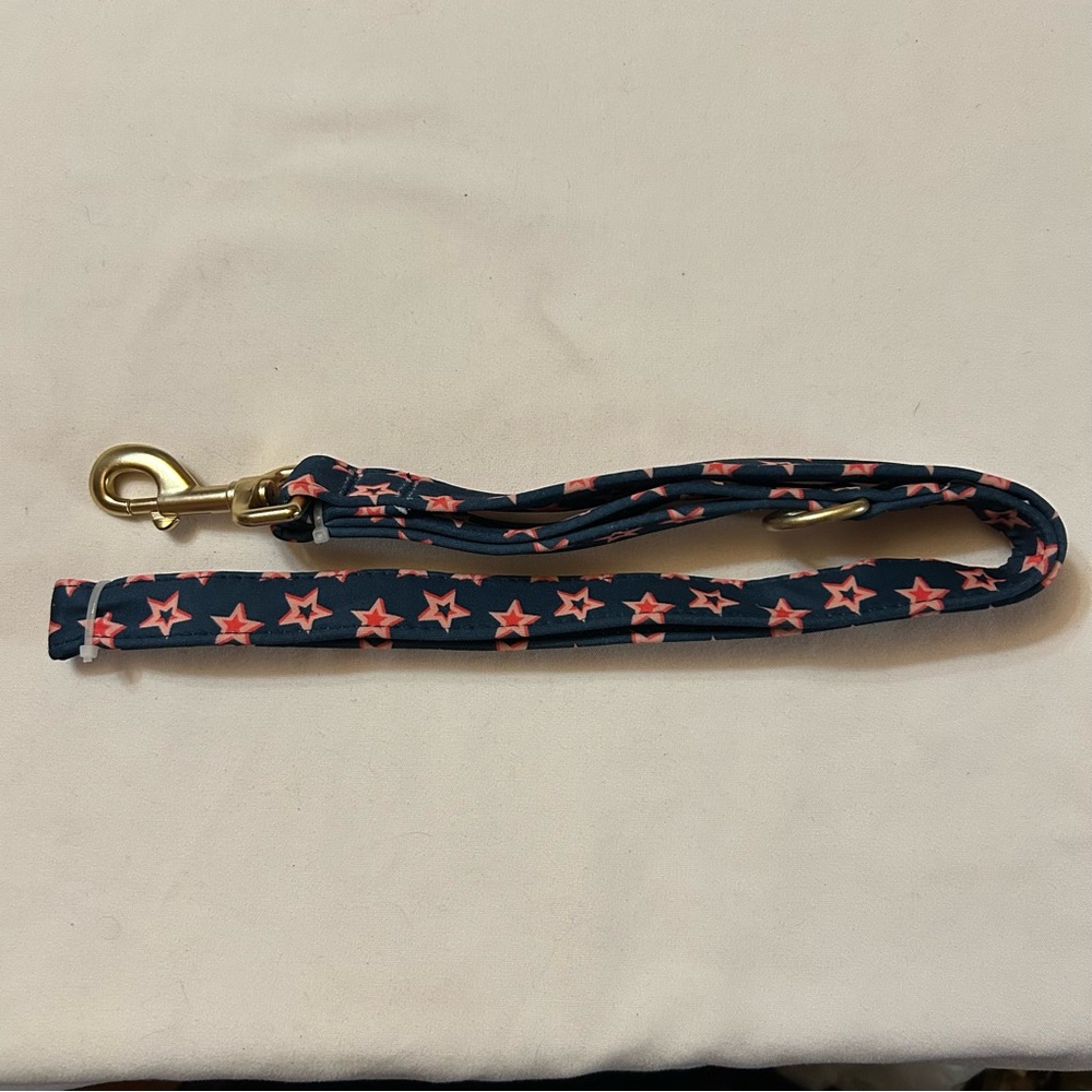 4 ft Pink Star Dog Leash